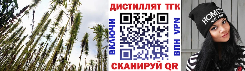 ТГК вейп нарко площадка состав Закаменск