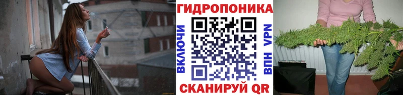 дарк нет клад KRAKEN ТОР Закаменск Конопля SATIVA & INDICA